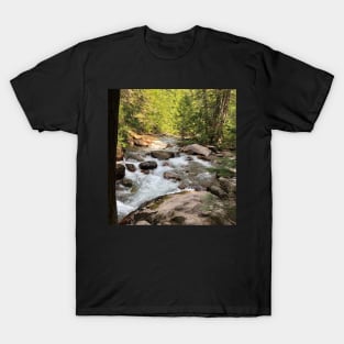 Water Sticker T-Shirt